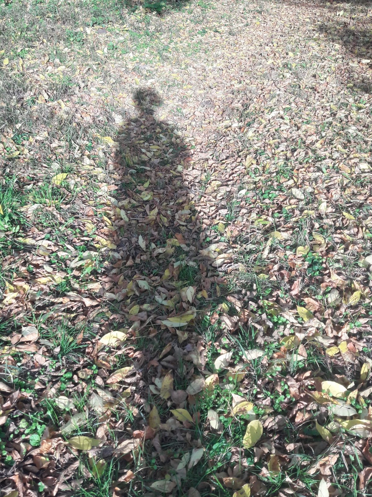 Колишні: які уроки вони приносять у наше&nbsp;життя