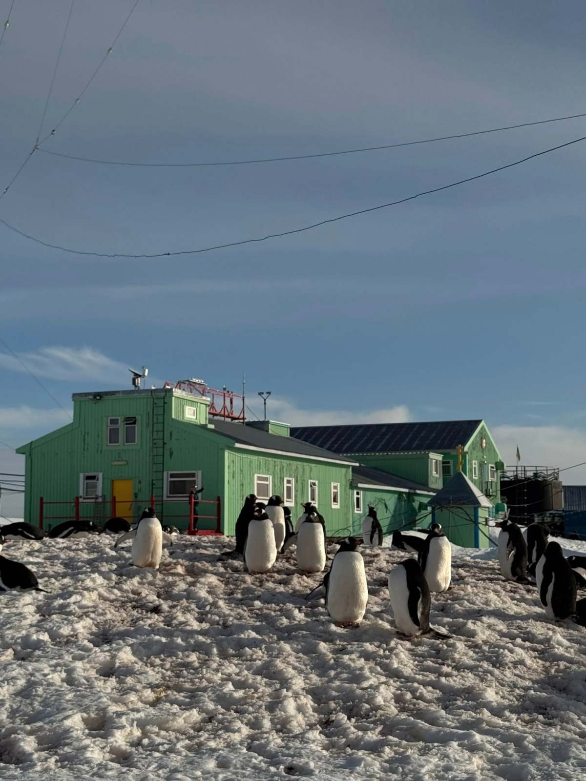 Як Україна отримала Антарктичну станцію всього за 1 фунт&nbsp;стерлінгів