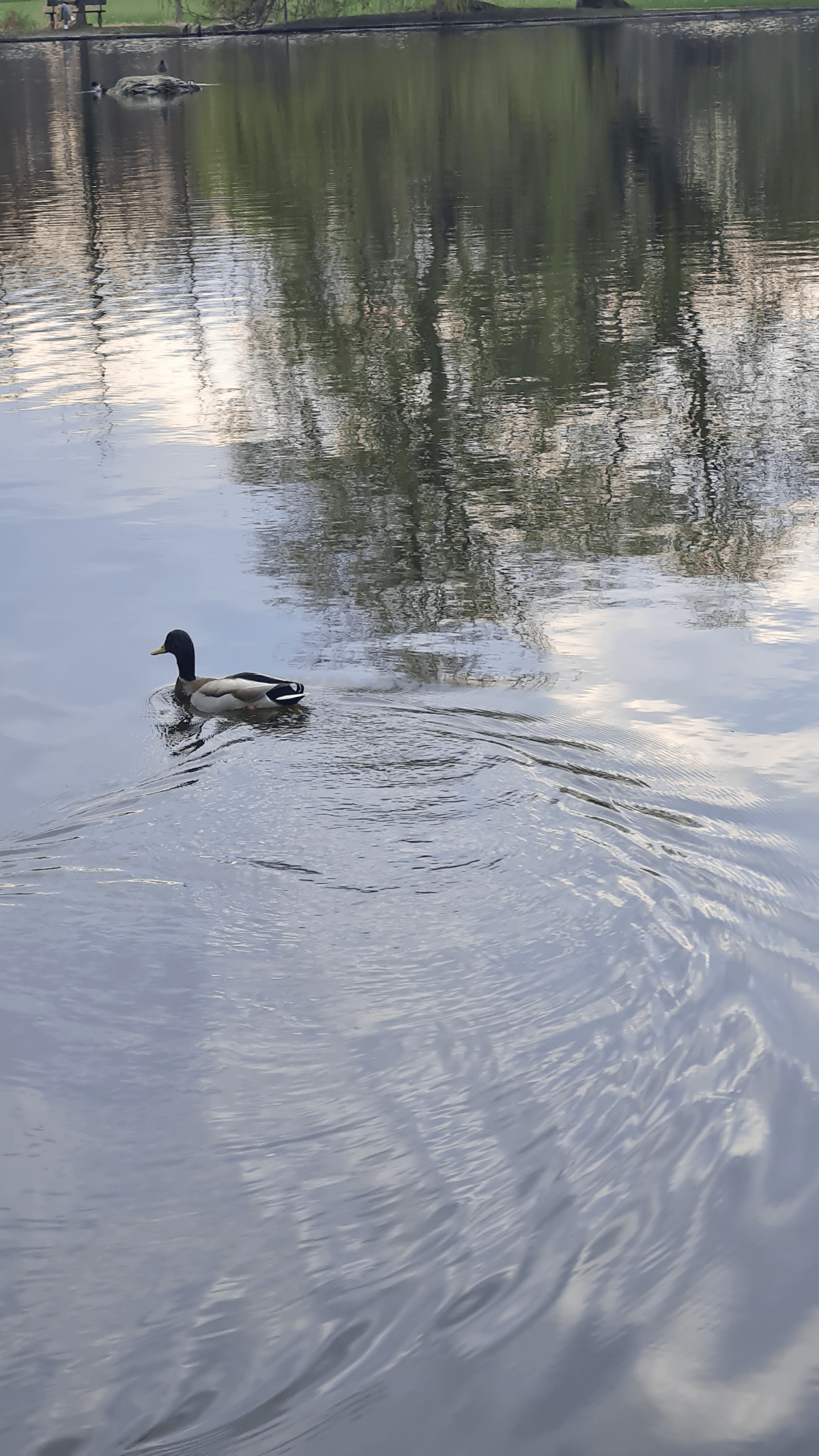 Чому метеорологи ніколи не кажуть “погана&nbsp;погода”