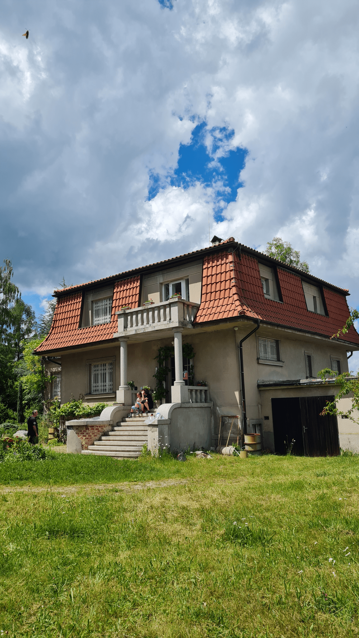 За рододендроновою фіранкою
