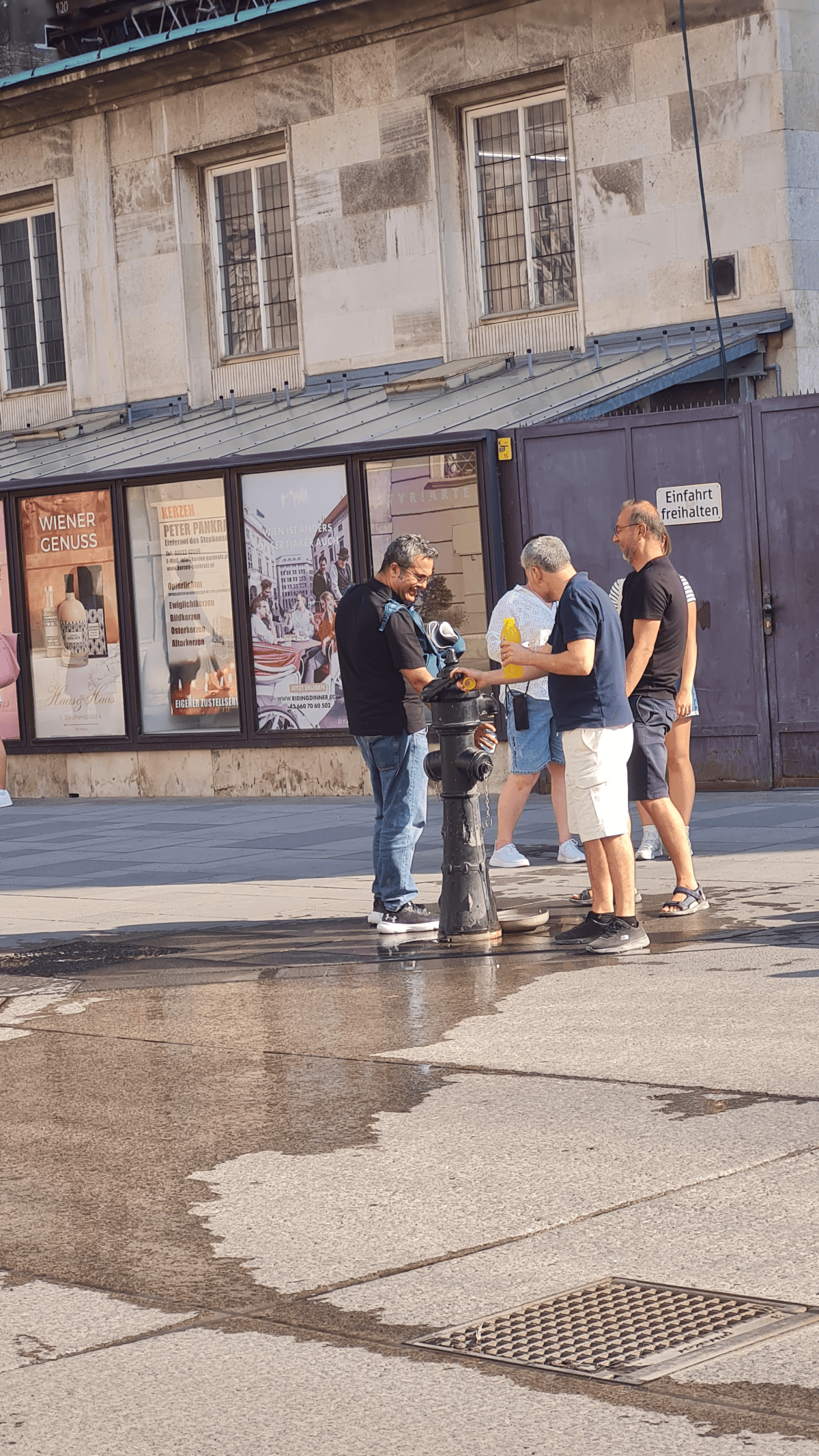 Альпійський поцілунок: як вода потрапляє до Відня і чому її п’ють з-під&nbsp;крану