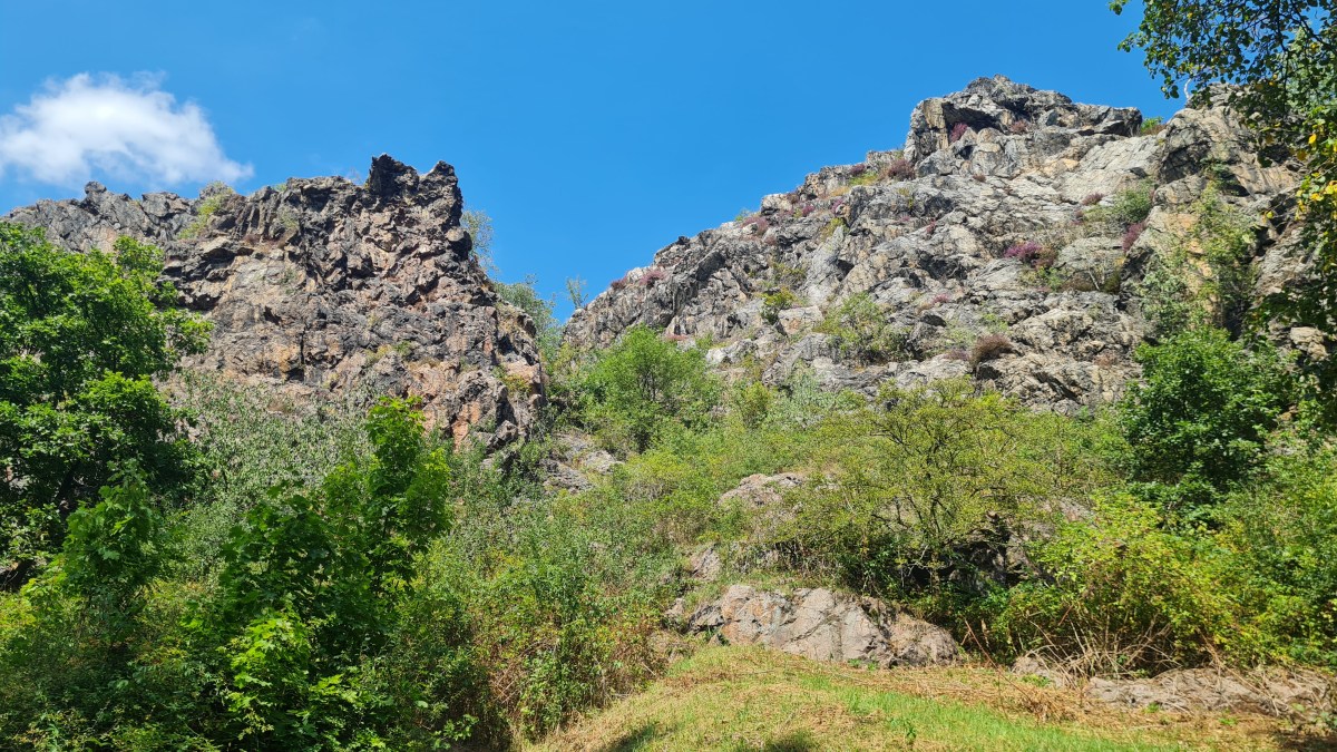 Як закохатися в амазонку і втратити&nbsp;все